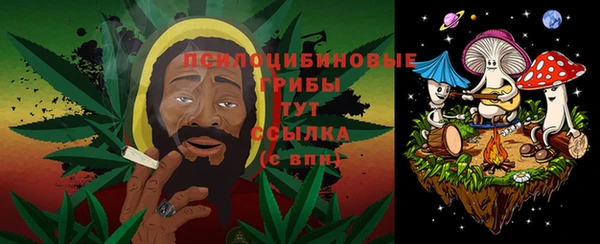 дживик Покров