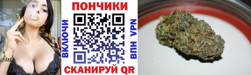 дарнет шоп  дарк нет наркотические препараты  МАРИХУАНА OG Kush  Льгов 